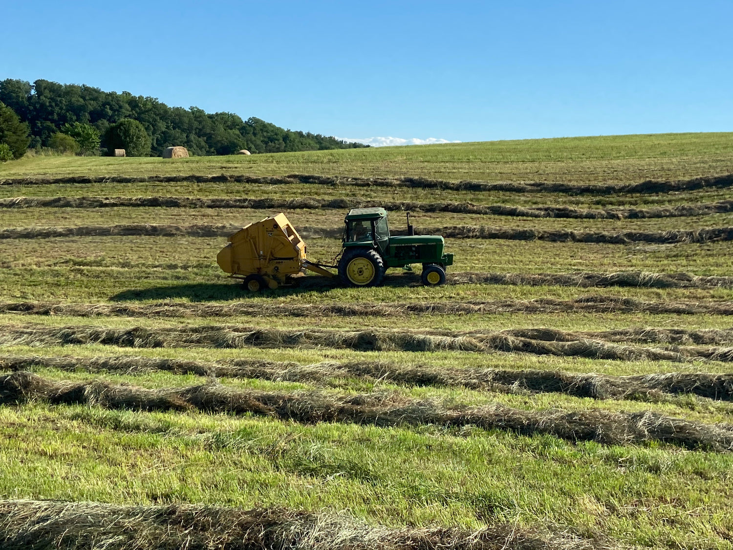 Local Business | Holly Knoll Farms | United States local business Grass Fed Beef Best Beef in Tennessee drive-thru fruits and vegetables store in tennessee Best Grass Fed Beef in Tennessee Subscription Boxes Bundle Box Pork Products Free Range Eggs